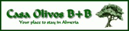 Casa Olivos logo